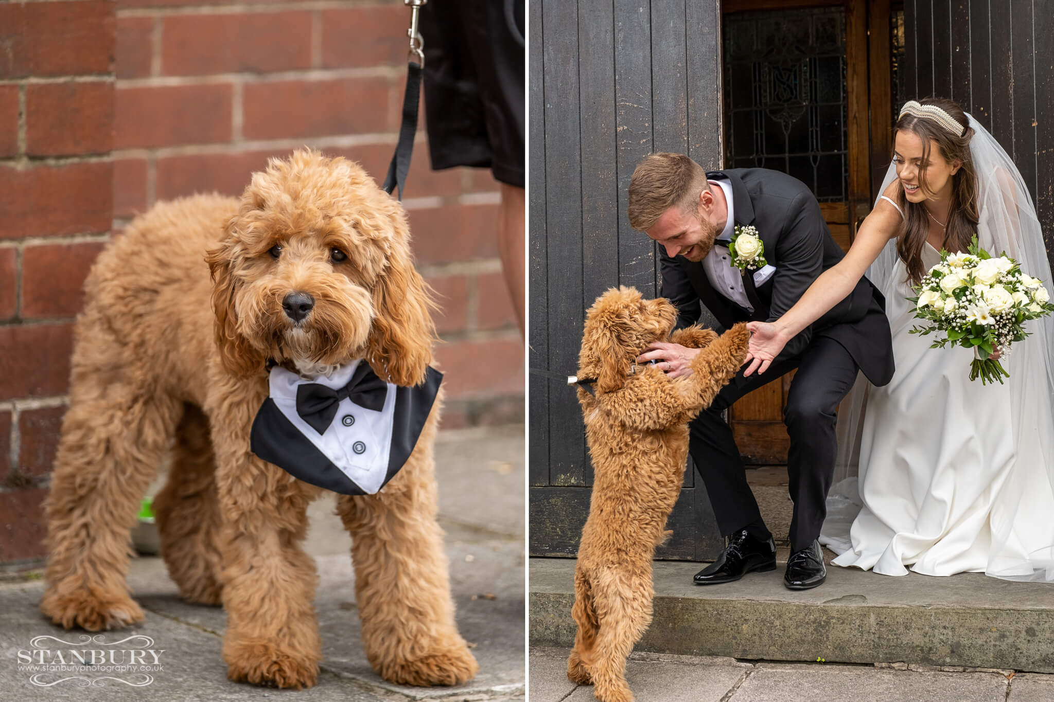manchester-wedding-dogs-stanbury-photography